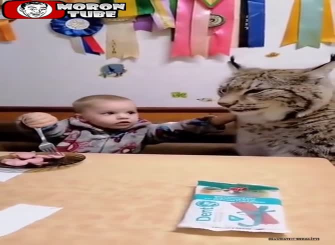 Video :This little Russian's pet is unique